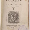 SCALIGER (Julius Caesar)